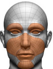 2. Facial Features Mask